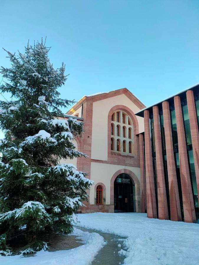 La Maison Bleue, A 20 Mn De Strasbourg, Sur La Route Des Vins, Jusqu'A 6 Personnes, Selestat Exterior photo