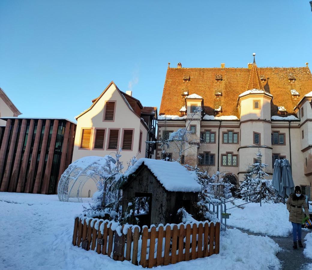 La Maison Bleue, A 20 Mn De Strasbourg, Sur La Route Des Vins, Jusqu'A 6 Personnes, Selestat Exterior photo